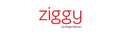 Ziggy Covers